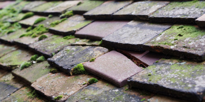 Seddington roof repair costs